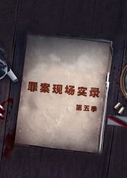 罪案现场实录第五季海报
