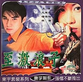 现代驯悍记海报