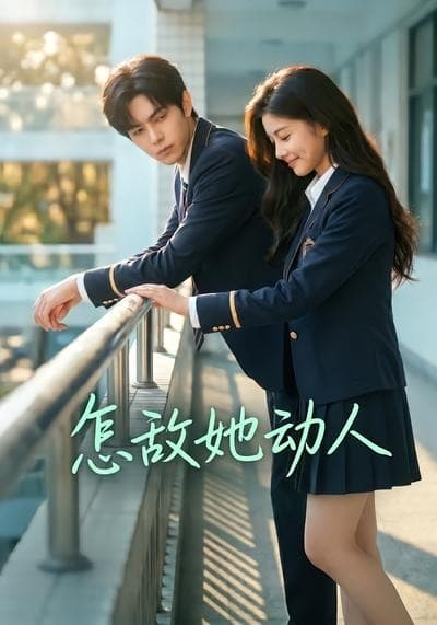 怎敌她动人海报