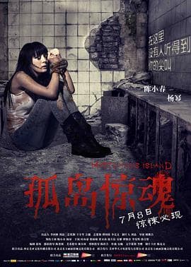 孤岛惊魂2011海报