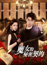 魔女的秘密契约海报