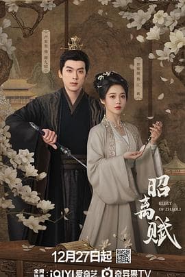 昭离赋海报