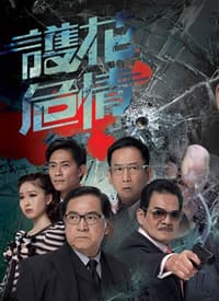 护花危情海报