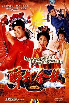 醉打金枝(国语版)海报