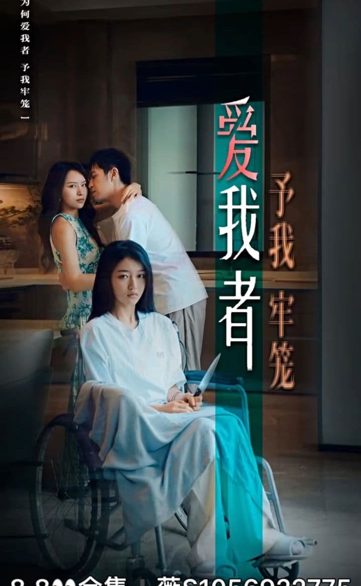 爱我者予我牢笼海报