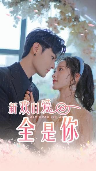 新欢旧爱全是你海报