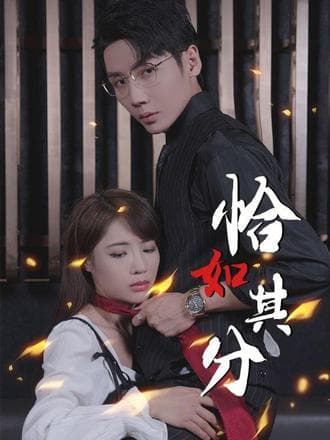 恰如其分海报
