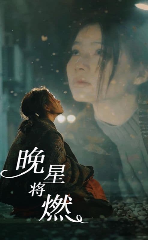 晚星将燃海报