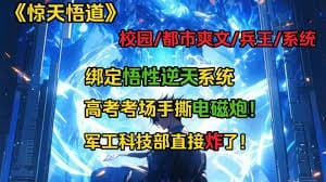 惊天悟道海报
