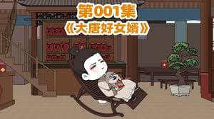 大唐好女婿海报