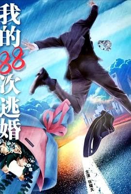 我的88次逃婚海报