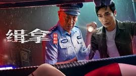 缉拿杨枪枪海报