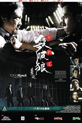 杀破狼国语海报