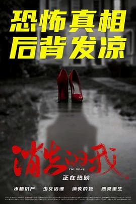 消失的我海报