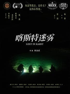 喀斯特迷雾海报