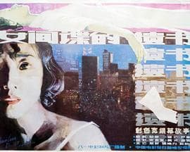 柳菲的遗书海报