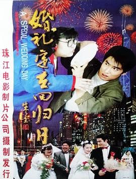 婚礼定在回归日海报