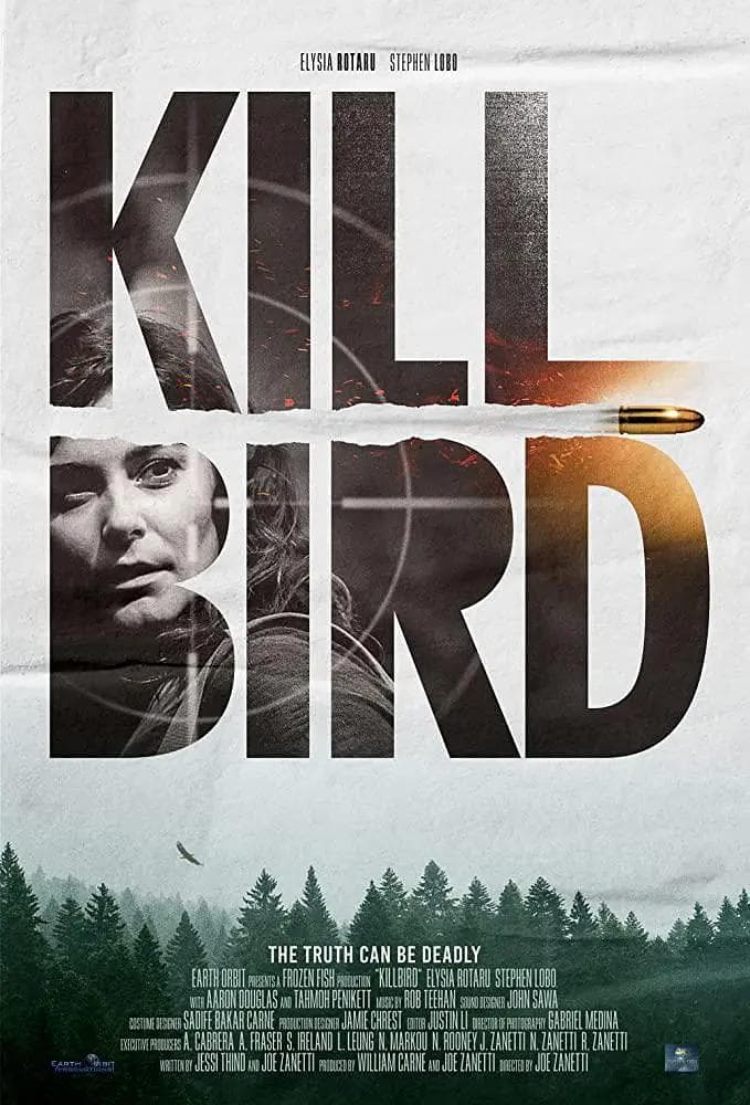 误闯杀机海报