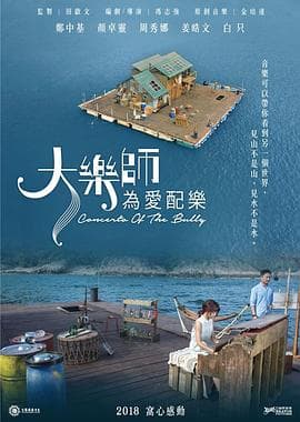 大乐师.为爱配乐海报