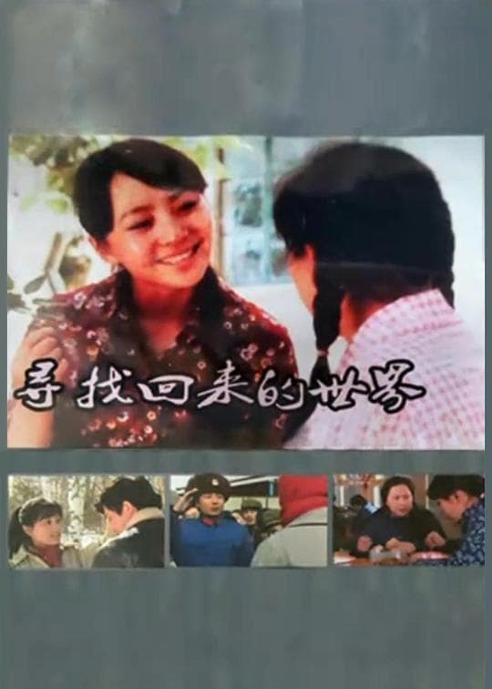 寻找回来的世界海报