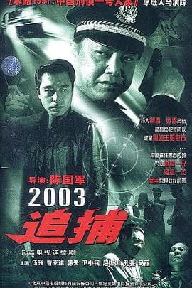 追捕 2003版海报