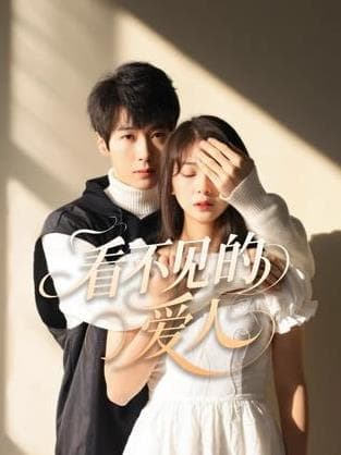 看不见的爱人2025海报