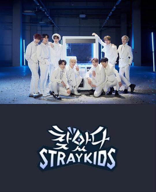找到了Stray Kids海报