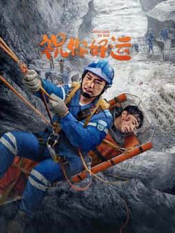 祝你好运2025海报