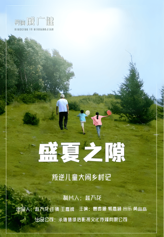 盛夏之隙海报
