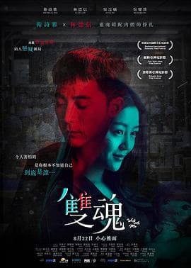 双魂粤语海报