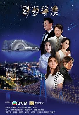 寻梦琴澳海报