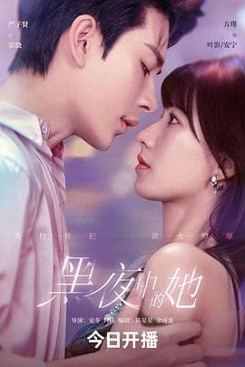 黑夜中的她海报