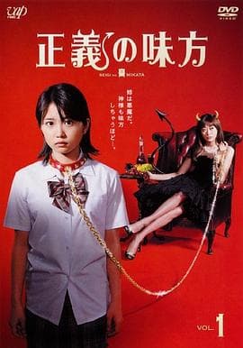 正义的伙伴海报