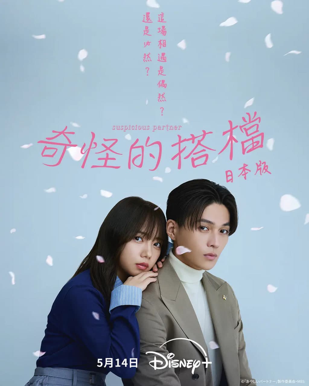 奇怪的搭档海报