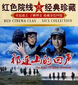 祁连山的回声海报