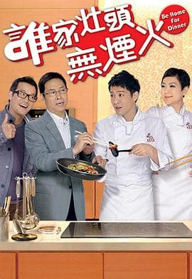 谁家灶头无烟火国语海报
