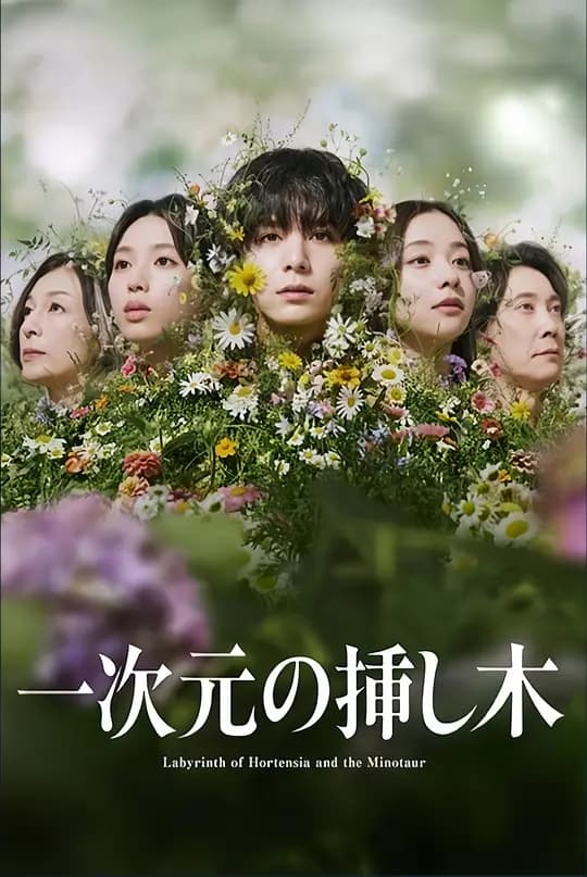 一次元的扦插海报